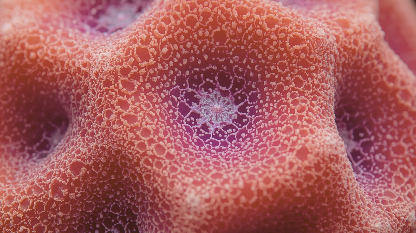 Your skin is a sponge - it needs defending